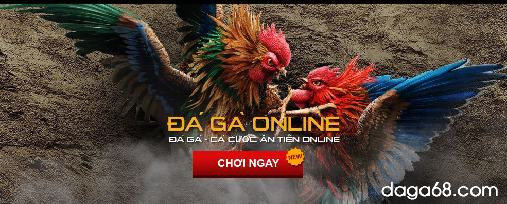“Tiền mất tật mang” với các trang đá gà online không uy tín
